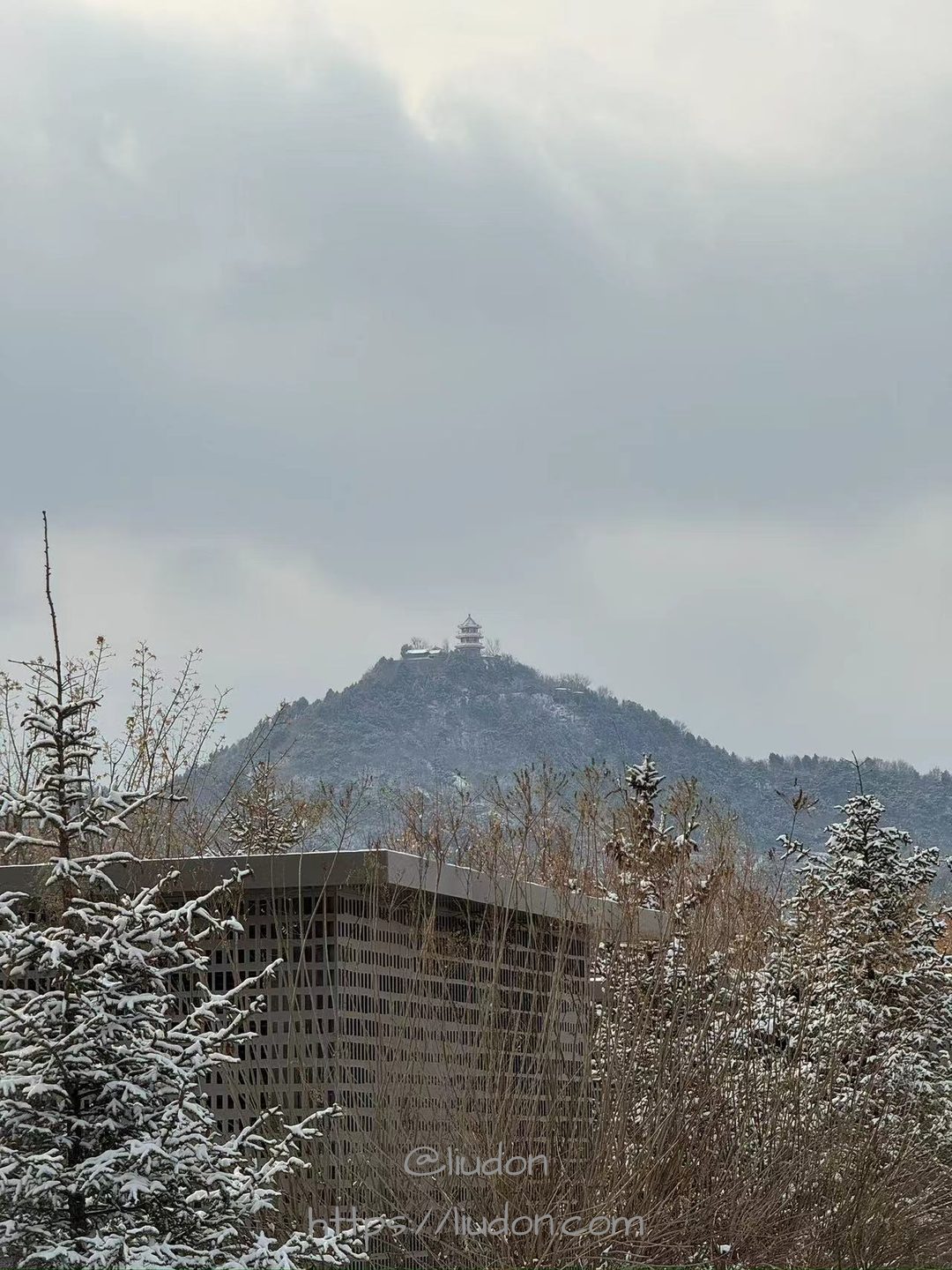 冬天的百望山
